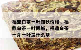 福鼎白茶一叶知秋价格，福鼎白茶一叶倾城，福鼎白茶一芽一叶是什么茶