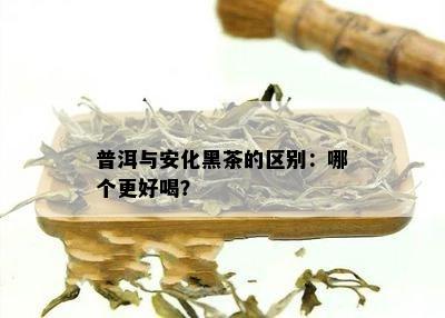 普洱与安化黑茶的区别：哪个更好喝？