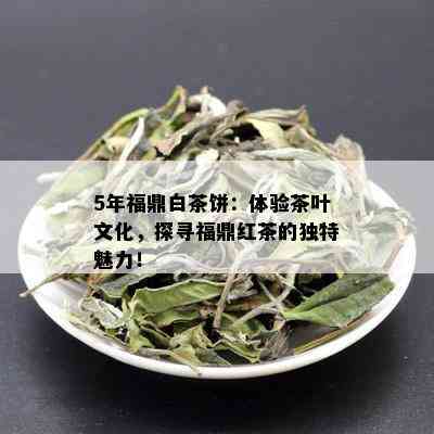 5年福鼎白茶饼：体验茶叶文化，探寻福鼎红茶的独特魅力！