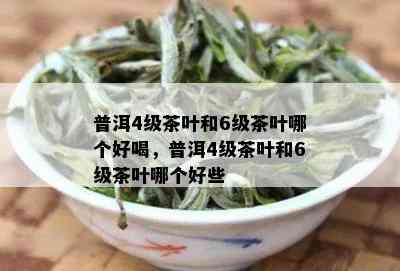 普洱4级茶叶和6级茶叶哪个好喝，普洱4级茶叶和6级茶叶哪个好些