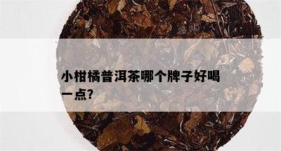 小柑橘普洱茶哪个牌子好喝一点？