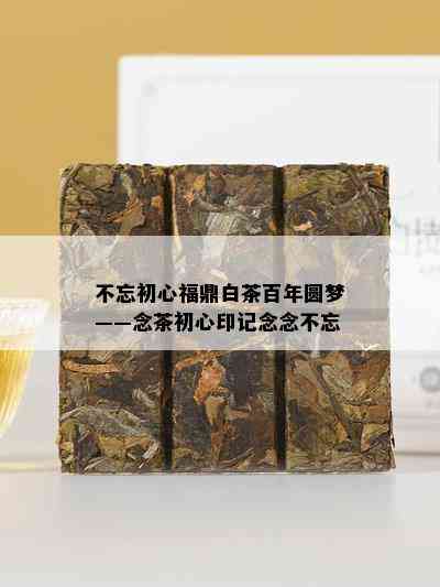 不忘初心福鼎白茶百年圆梦——念茶初心印记念念不忘