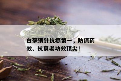 白毫银针抗癌之一，防癌效、抗衰老功效顶尖！