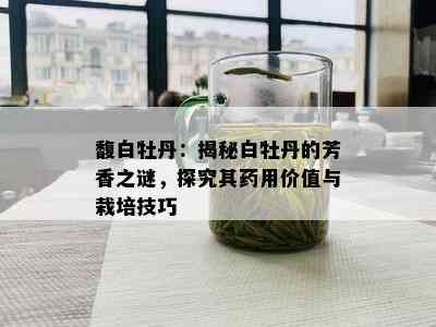 馥白牡丹：揭秘白牡丹的芳香之谜，探究其用价值与栽培技巧