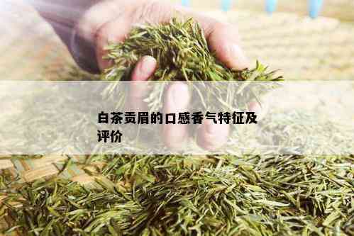 白茶贡眉的口感香气特征及评价