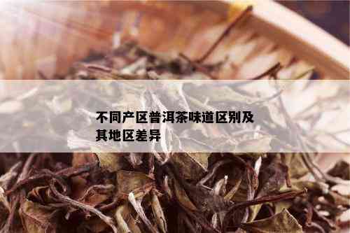 不同产区普洱茶味道区别及其地区差异