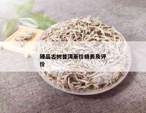 臻品古树普洱茶价格表及评价