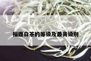 福鼎白茶的等级及更高级别