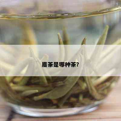 眉茶是哪种茶？