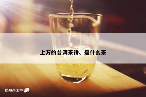 上万的普洱茶饼、是什么茶