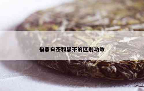 福鼎白茶和黑茶的区别功效