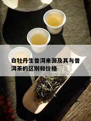 白牡丹生普洱来源及其与普洱茶的区别和价格