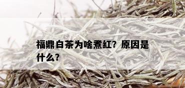 福鼎白茶为啥煮红？原因是什么？