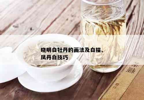 晓明白牡丹的画法及白描、凤丹白技巧