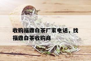 收购福鼎白茶厂家电话，找福鼎白茶收购商