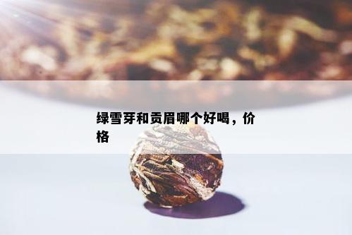 绿雪芽和贡眉哪个好喝，价格