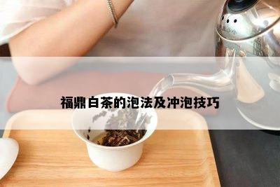 福鼎白茶的泡法及冲泡技巧