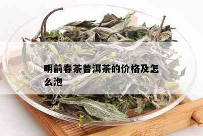 明前春茶普洱茶的价格及怎么泡