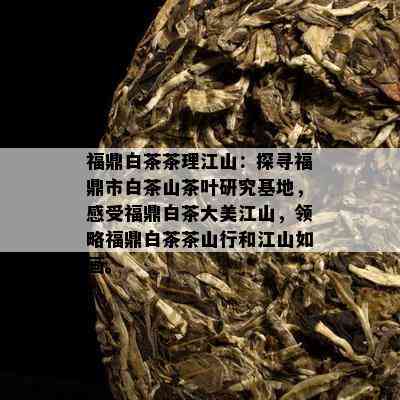 福鼎白茶茶理江山：探寻福鼎市白茶山茶叶研究基地，感受福鼎白茶大美江山，领略福鼎白茶茶山行和江山如画。