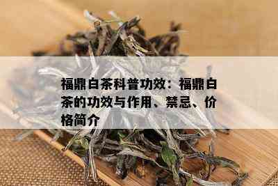 福鼎白茶科普功效：福鼎白茶的功效与作用、禁忌、价格简介