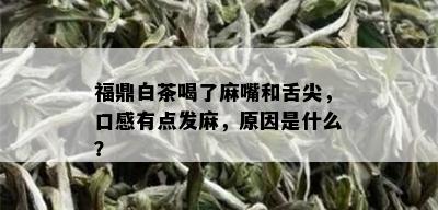 福鼎白茶喝了麻嘴和舌尖，口感有点发麻，原因是什么？