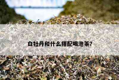 白牡丹和什么搭配喝泡茶？