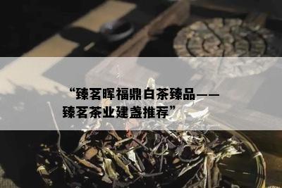 “臻茗晖福鼎白茶臻品——臻茗茶业建盏推荐”