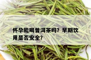 怀孕能喝普洱茶吗？早期饮用是否安全？