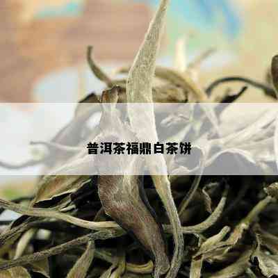 普洱茶福鼎白茶饼