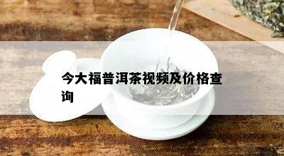 今大福普洱茶视频及价格查询