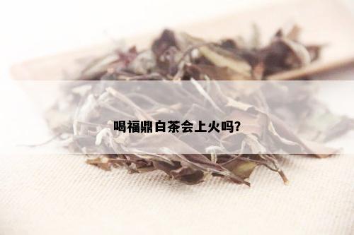 喝福鼎白茶会上火吗？