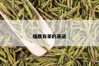 福鼎白茶的茶语