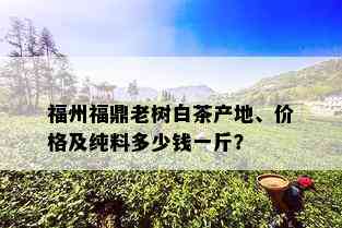 福州福鼎老树白茶产地、价格及纯料多少钱一斤？