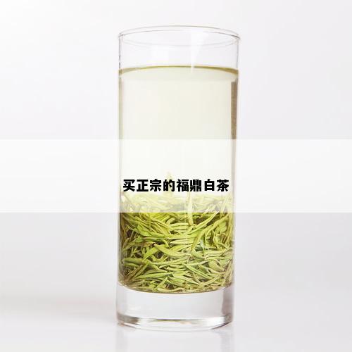 买正宗的福鼎白茶