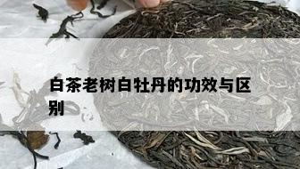 白茶老树白牡丹的功效与区别