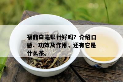 福鼎白毫银针好吗？介绍口感、功效及作用，还有它是什么茶。