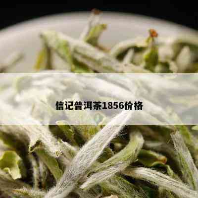 信记普洱茶1856价格