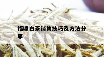 福鼎白茶销售技巧及方法分享