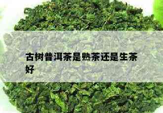 古树普洱茶是熟茶还是生茶好