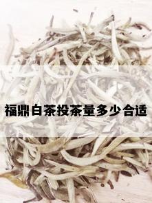 福鼎白茶投茶量多少合适