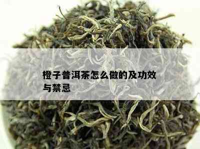 橙子普洱茶怎么做的及功效与禁忌