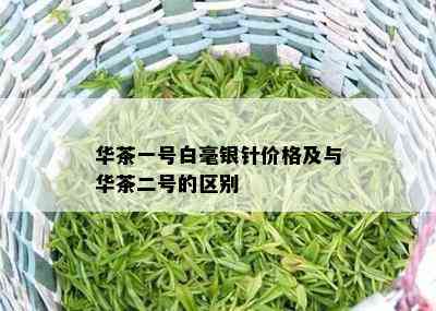 华茶一号白毫银针价格及与华茶二号的区别