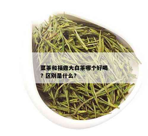 菜茶和福鼎大白茶哪个好喝? 区别是什么?