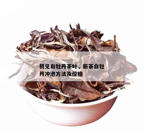 初见白牡丹茶叶，新茶白牡丹冲泡方法及价格