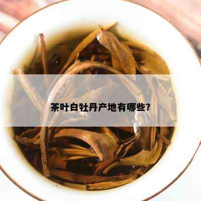 茶叶白牡丹产地有哪些？