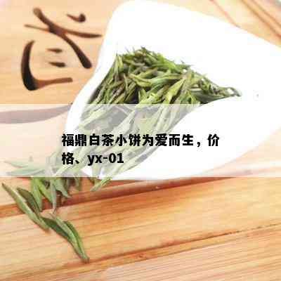 福鼎白茶小饼为爱而生，价格、yx-01