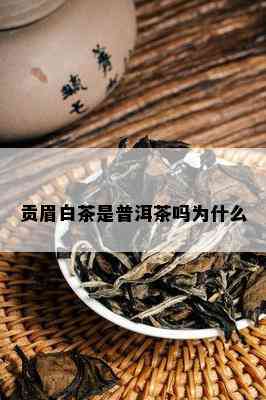 贡眉白茶是普洱茶吗为什么