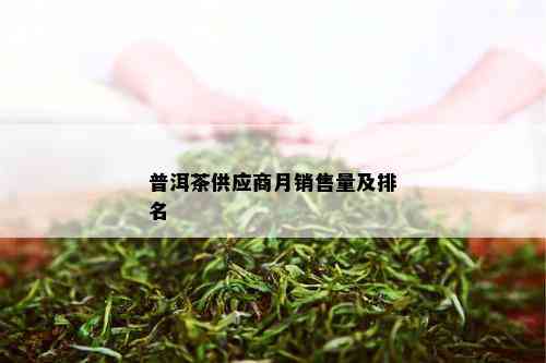 普洱茶供应商月销售量及排名