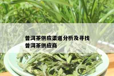 普洱茶供应渠道分析及寻找普洱茶供应商