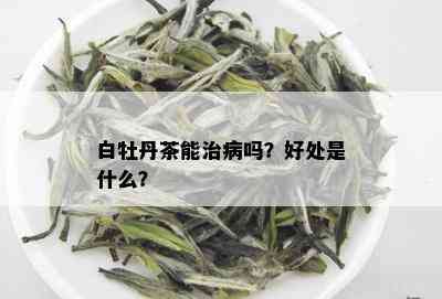 白牡丹茶能治病吗？好处是什么？